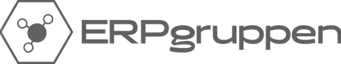 ERPgruppen logo