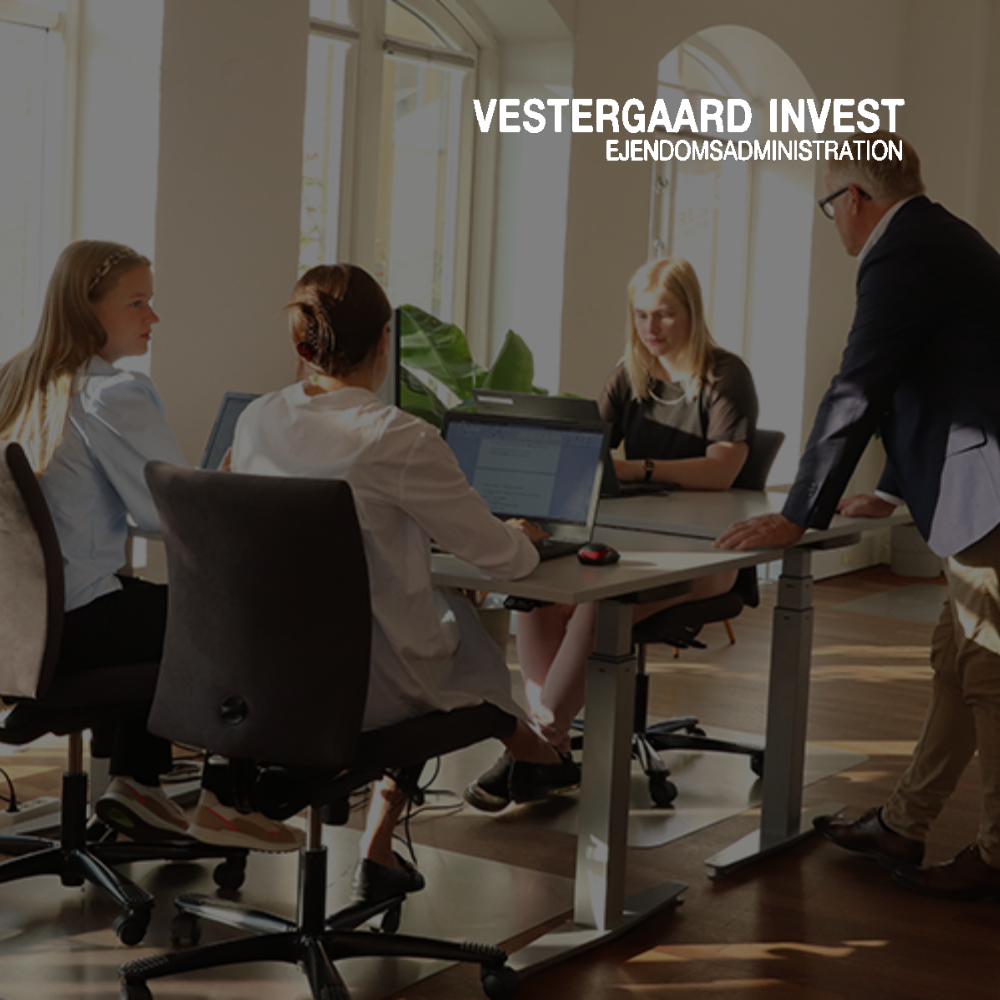Vestergaard Invest – Case cover 3
